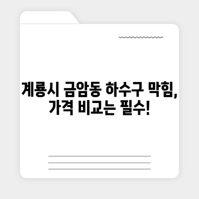 충청남도 계룡시 금암동 하수구막힘 | 가격 | 비용 | 기름제거 | 싱크대 | 변기 | 세면대 | 역류 | 냄새차단 | 2024 후기