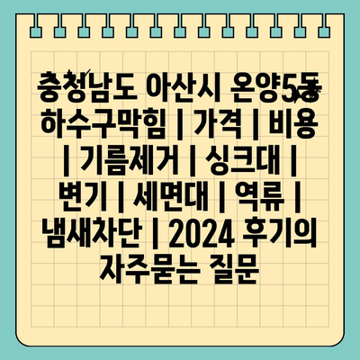 충청남도 아산시 온양5동 하수구막힘 | 가격 | 비용 | 기름제거 | 싱크대 | 변기 | 세면대 | 역류 | 냄새차단 | 2024 후기