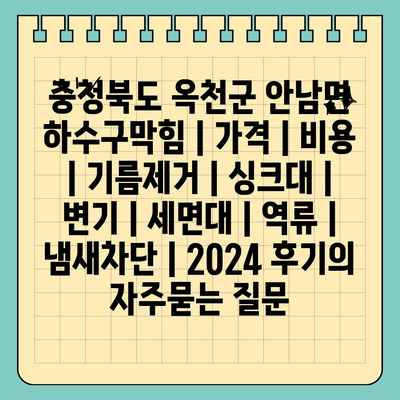 충청북도 옥천군 안남면 하수구막힘 | 가격 | 비용 | 기름제거 | 싱크대 | 변기 | 세면대 | 역류 | 냄새차단 | 2024 후기