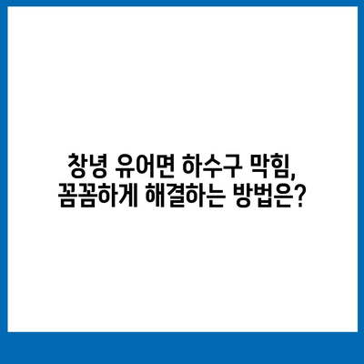 경상남도 창녕군 유어면 하수구막힘 | 가격 | 비용 | 기름제거 | 싱크대 | 변기 | 세면대 | 역류 | 냄새차단 | 2024 후기