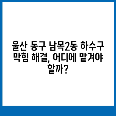 울산시 동구 남목2동 하수구막힘 | 가격 | 비용 | 기름제거 | 싱크대 | 변기 | 세면대 | 역류 | 냄새차단 | 2024 후기