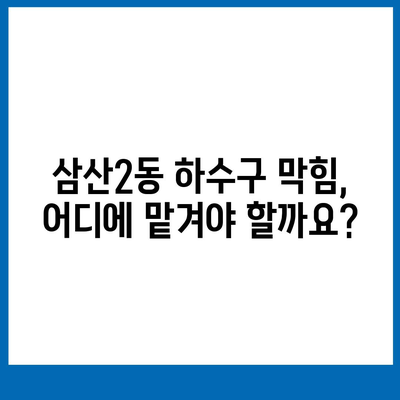 인천시 부평구 삼산2동 하수구막힘 | 가격 | 비용 | 기름제거 | 싱크대 | 변기 | 세면대 | 역류 | 냄새차단 | 2024 후기