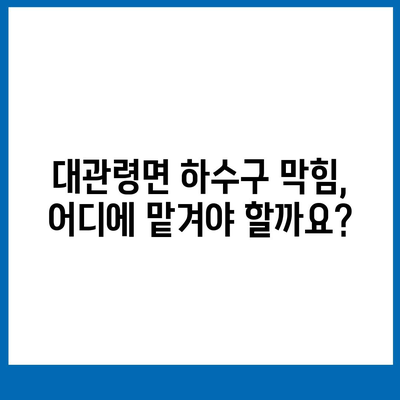 강원도 평창군 대관령면 하수구막힘 | 가격 | 비용 | 기름제거 | 싱크대 | 변기 | 세면대 | 역류 | 냄새차단 | 2024 후기