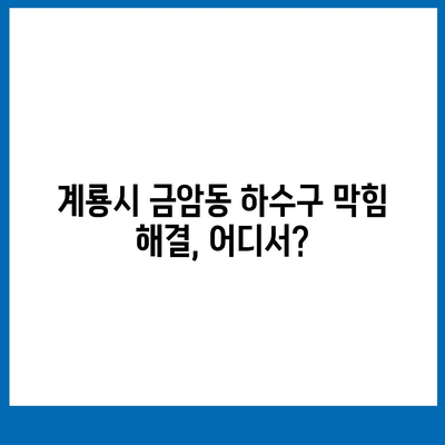 충청남도 계룡시 금암동 하수구막힘 | 가격 | 비용 | 기름제거 | 싱크대 | 변기 | 세면대 | 역류 | 냄새차단 | 2024 후기