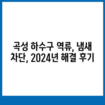 전라남도 곡성군 곡성읍 하수구막힘 | 가격 | 비용 | 기름제거 | 싱크대 | 변기 | 세면대 | 역류 | 냄새차단 | 2024 후기