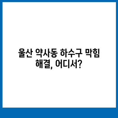 울산시 중구 약사동 하수구막힘 | 가격 | 비용 | 기름제거 | 싱크대 | 변기 | 세면대 | 역류 | 냄새차단 | 2024 후기