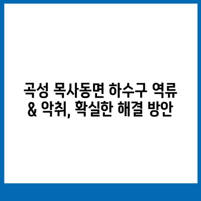 전라남도 곡성군 목사동면 하수구막힘 | 가격 | 비용 | 기름제거 | 싱크대 | 변기 | 세면대 | 역류 | 냄새차단 | 2024 후기