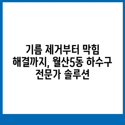 광주시 남구 월산5동 하수구막힘 | 가격 | 비용 | 기름제거 | 싱크대 | 변기 | 세면대 | 역류 | 냄새차단 | 2024 후기