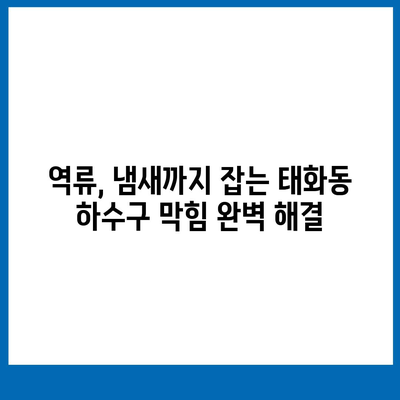 울산시 중구 태화동 하수구막힘 | 가격 | 비용 | 기름제거 | 싱크대 | 변기 | 세면대 | 역류 | 냄새차단 | 2024 후기