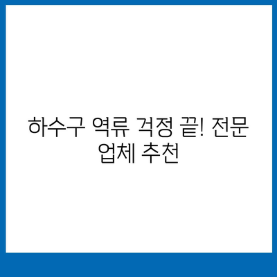 대구시 중구 대봉1동 하수구막힘 | 가격 | 비용 | 기름제거 | 싱크대 | 변기 | 세면대 | 역류 | 냄새차단 | 2024 후기