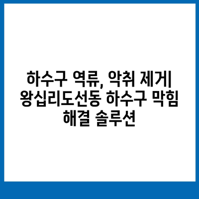 서울시 성동구 왕십리도선동 하수구막힘 | 가격 | 비용 | 기름제거 | 싱크대 | 변기 | 세면대 | 역류 | 냄새차단 | 2024 후기