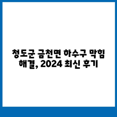 경상북도 청도군 금천면 하수구막힘 | 가격 | 비용 | 기름제거 | 싱크대 | 변기 | 세면대 | 역류 | 냄새차단 | 2024 후기