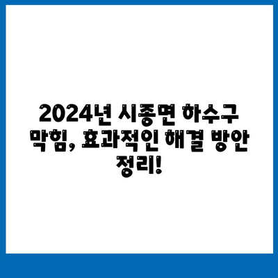 전라남도 영암군 시종면 하수구막힘 | 가격 | 비용 | 기름제거 | 싱크대 | 변기 | 세면대 | 역류 | 냄새차단 | 2024 후기