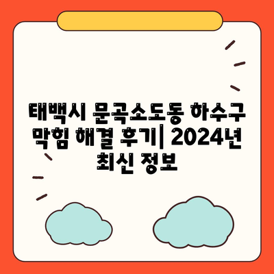 강원도 태백시 문곡소도동 하수구막힘 | 가격 | 비용 | 기름제거 | 싱크대 | 변기 | 세면대 | 역류 | 냄새차단 | 2024 후기