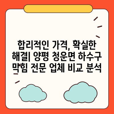 경기도 양평군 청운면 하수구막힘 | 가격 | 비용 | 기름제거 | 싱크대 | 변기 | 세면대 | 역류 | 냄새차단 | 2024 후기