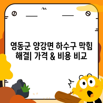 충청북도 영동군 양강면 하수구막힘 | 가격 | 비용 | 기름제거 | 싱크대 | 변기 | 세면대 | 역류 | 냄새차단 | 2024 후기