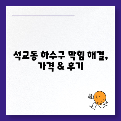 대전시 중구 석교동 하수구막힘 | 가격 | 비용 | 기름제거 | 싱크대 | 변기 | 세면대 | 역류 | 냄새차단 | 2024 후기