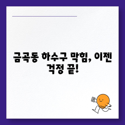 부산시 북구 금곡동 하수구막힘 | 가격 | 비용 | 기름제거 | 싱크대 | 변기 | 세면대 | 역류 | 냄새차단 | 2024 후기