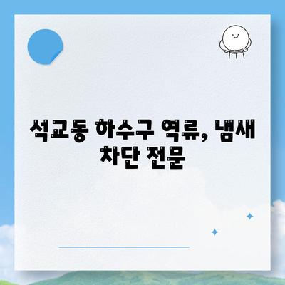 대전시 중구 석교동 하수구막힘 | 가격 | 비용 | 기름제거 | 싱크대 | 변기 | 세면대 | 역류 | 냄새차단 | 2024 후기