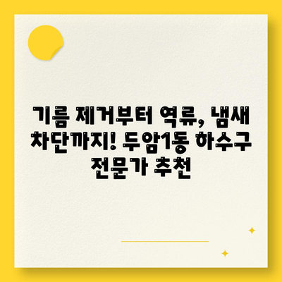 광주시 북구 두암1동 하수구막힘 | 가격 | 비용 | 기름제거 | 싱크대 | 변기 | 세면대 | 역류 | 냄새차단 | 2024 후기