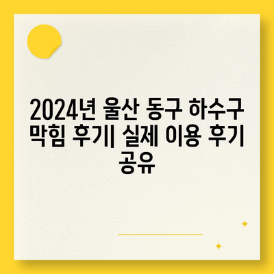 울산시 동구 남목2동 하수구막힘 | 가격 | 비용 | 기름제거 | 싱크대 | 변기 | 세면대 | 역류 | 냄새차단 | 2024 후기