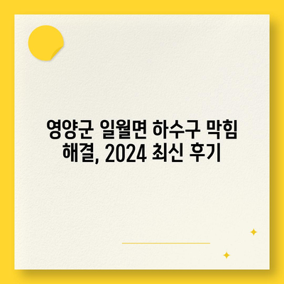 경상북도 영양군 일월면 하수구막힘 | 가격 | 비용 | 기름제거 | 싱크대 | 변기 | 세면대 | 역류 | 냄새차단 | 2024 후기