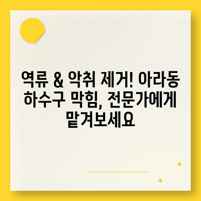 제주도 제주시 아라동 하수구막힘 | 가격 | 비용 | 기름제거 | 싱크대 | 변기 | 세면대 | 역류 | 냄새차단 | 2024 후기