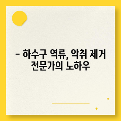 전라북도 남원시 보절면 하수구막힘 | 가격 | 비용 | 기름제거 | 싱크대 | 변기 | 세면대 | 역류 | 냄새차단 | 2024 후기