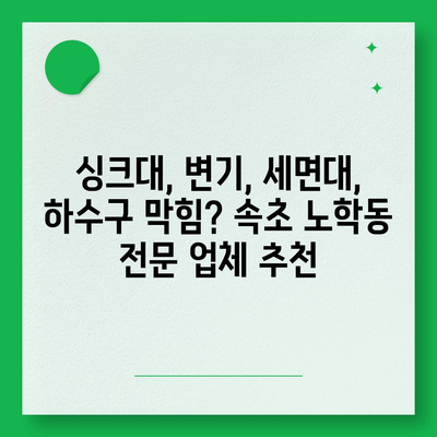 강원도 속초시 노학동 하수구막힘 | 가격 | 비용 | 기름제거 | 싱크대 | 변기 | 세면대 | 역류 | 냄새차단 | 2024 후기