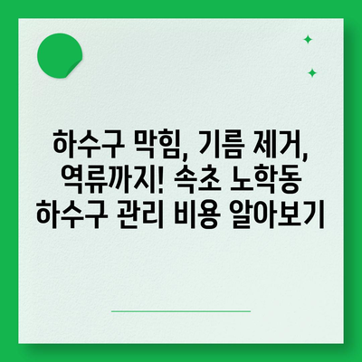 강원도 속초시 노학동 하수구막힘 | 가격 | 비용 | 기름제거 | 싱크대 | 변기 | 세면대 | 역류 | 냄새차단 | 2024 후기