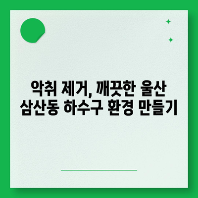 울산시 남구 삼산동 하수구막힘 | 가격 | 비용 | 기름제거 | 싱크대 | 변기 | 세면대 | 역류 | 냄새차단 | 2024 후기