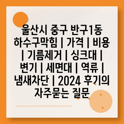 울산시 중구 반구1동 하수구막힘 | 가격 | 비용 | 기름제거 | 싱크대 | 변기 | 세면대 | 역류 | 냄새차단 | 2024 후기