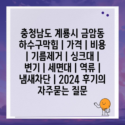 충청남도 계룡시 금암동 하수구막힘 | 가격 | 비용 | 기름제거 | 싱크대 | 변기 | 세면대 | 역류 | 냄새차단 | 2024 후기