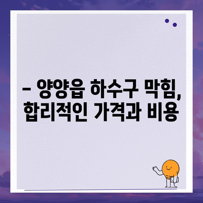 강원도 양양군 양양읍 하수구막힘 | 가격 | 비용 | 기름제거 | 싱크대 | 변기 | 세면대 | 역류 | 냄새차단 | 2024 후기