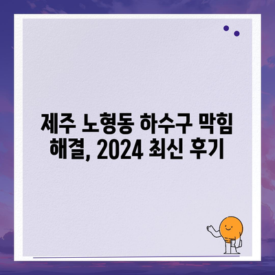 제주도 제주시 노형동 하수구막힘 | 가격 | 비용 | 기름제거 | 싱크대 | 변기 | 세면대 | 역류 | 냄새차단 | 2024 후기