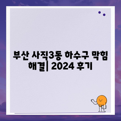 부산시 동래구 사직3동 하수구막힘 | 가격 | 비용 | 기름제거 | 싱크대 | 변기 | 세면대 | 역류 | 냄새차단 | 2024 후기