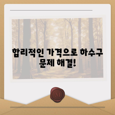 충청남도 예산군 대술면 하수구막힘 | 가격 | 비용 | 기름제거 | 싱크대 | 변기 | 세면대 | 역류 | 냄새차단 | 2024 후기