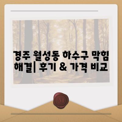 경상북도 경주시 월성동 하수구막힘 | 가격 | 비용 | 기름제거 | 싱크대 | 변기 | 세면대 | 역류 | 냄새차단 | 2024 후기