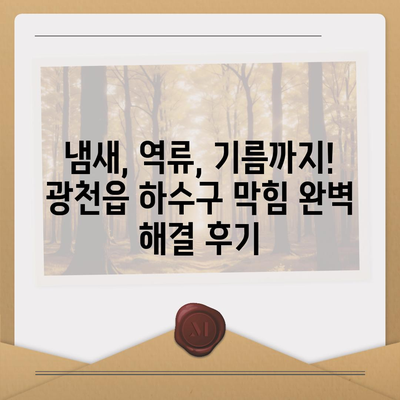 충청남도 홍성군 광천읍 하수구막힘 | 가격 | 비용 | 기름제거 | 싱크대 | 변기 | 세면대 | 역류 | 냄새차단 | 2024 후기