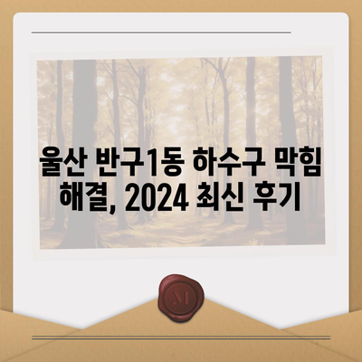 울산시 중구 반구1동 하수구막힘 | 가격 | 비용 | 기름제거 | 싱크대 | 변기 | 세면대 | 역류 | 냄새차단 | 2024 후기