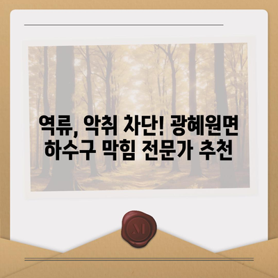 충청북도 진천군 광혜원면 하수구막힘 | 가격 | 비용 | 기름제거 | 싱크대 | 변기 | 세면대 | 역류 | 냄새차단 | 2024 후기