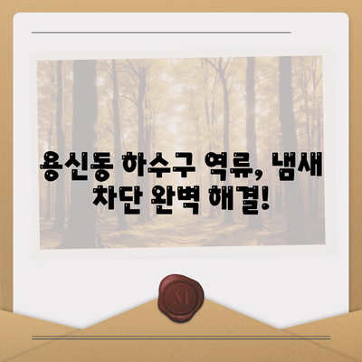 서울시 동대문구 용신동 하수구막힘 | 가격 | 비용 | 기름제거 | 싱크대 | 변기 | 세면대 | 역류 | 냄새차단 | 2024 후기