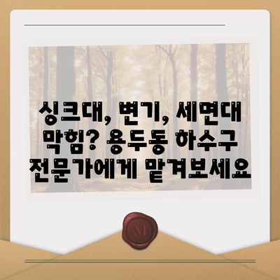 충청북도 제천시 용두동 하수구막힘 | 가격 | 비용 | 기름제거 | 싱크대 | 변기 | 세면대 | 역류 | 냄새차단 | 2024 후기