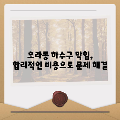 제주도 제주시 오라동 하수구막힘 | 가격 | 비용 | 기름제거 | 싱크대 | 변기 | 세면대 | 역류 | 냄새차단 | 2024 후기