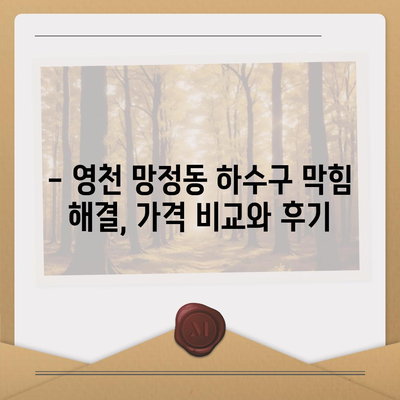 경상북도 영천시 망정동 하수구막힘 | 가격 | 비용 | 기름제거 | 싱크대 | 변기 | 세면대 | 역류 | 냄새차단 | 2024 후기