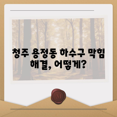 충청북도 청주시 상당구 용정동 하수구막힘 | 가격 | 비용 | 기름제거 | 싱크대 | 변기 | 세면대 | 역류 | 냄새차단 | 2024 후기