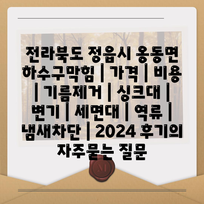 전라북도 정읍시 옹동면 하수구막힘 | 가격 | 비용 | 기름제거 | 싱크대 | 변기 | 세면대 | 역류 | 냄새차단 | 2024 후기