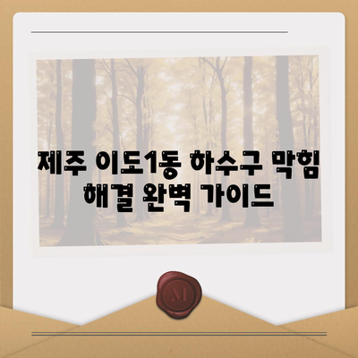 제주도 제주시 이도1동 하수구막힘 | 가격 | 비용 | 기름제거 | 싱크대 | 변기 | 세면대 | 역류 | 냄새차단 | 2024 후기