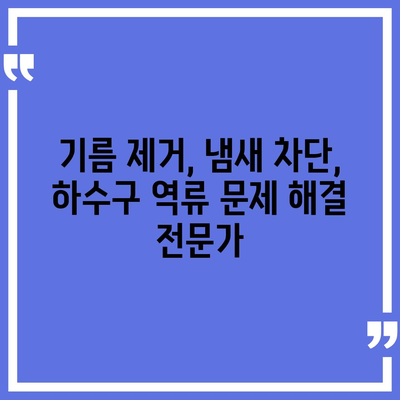 경상남도 의령군 궁류면 하수구막힘 | 가격 | 비용 | 기름제거 | 싱크대 | 변기 | 세면대 | 역류 | 냄새차단 | 2024 후기