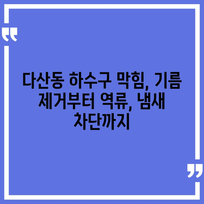 서울시 중구 다산동 하수구막힘 | 가격 | 비용 | 기름제거 | 싱크대 | 변기 | 세면대 | 역류 | 냄새차단 | 2024 후기